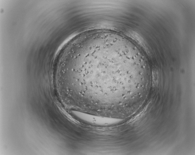 X0000059230780200510281904