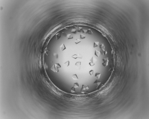 X0000059230782200510281904