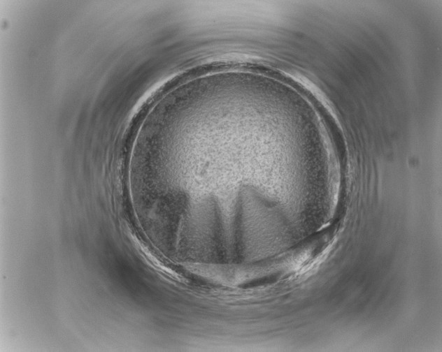 X0000059230783200510281904