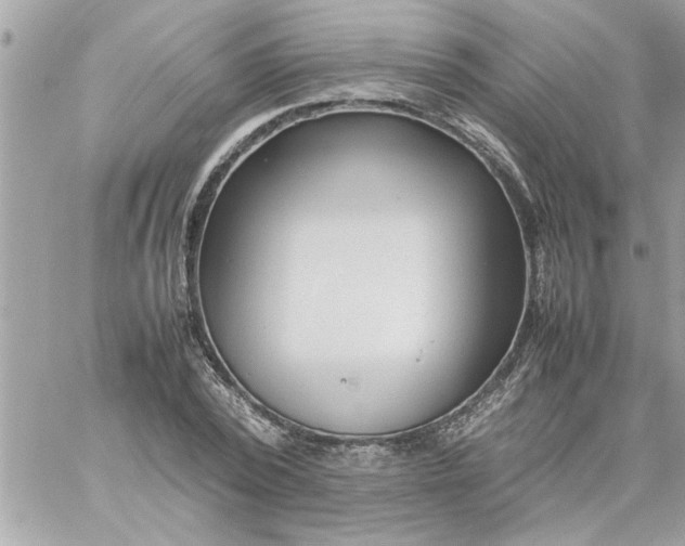 X0000059230784200510281904