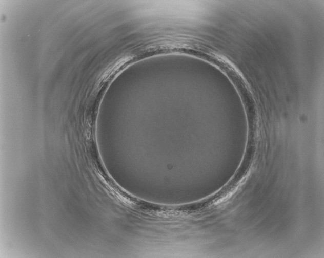 X0000059230785200510281904