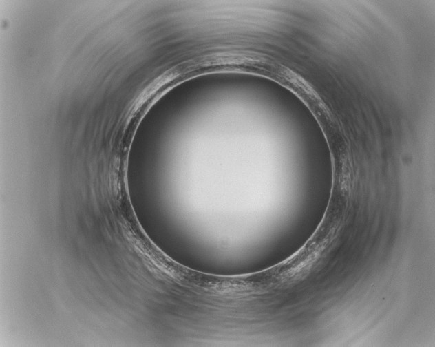 X0000059230786200510281904