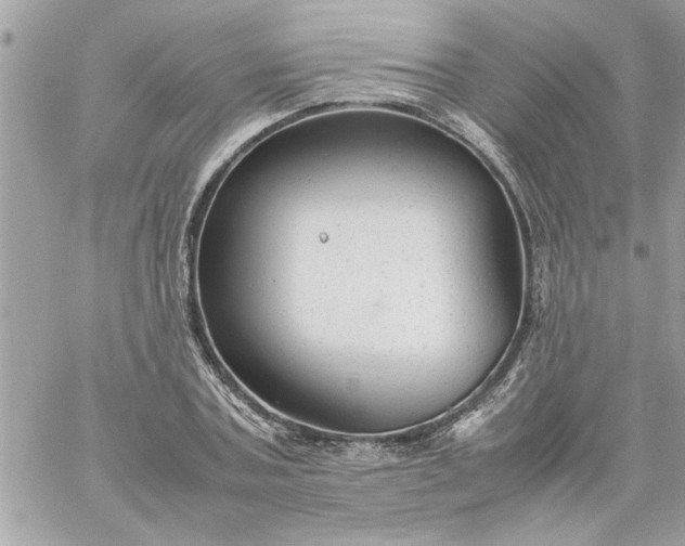 X0000059230787200510281904