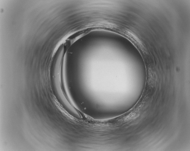 X0000059230788200510281904