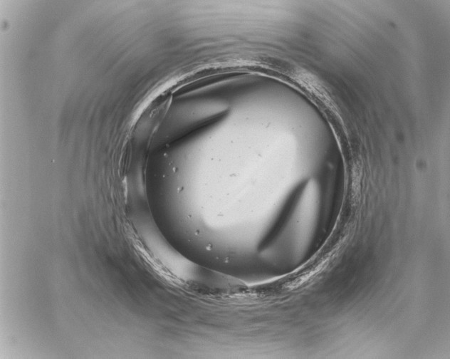 X0000059230789200510281904