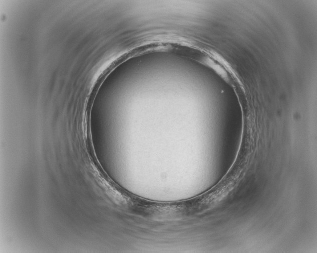 X0000059230791200510281904