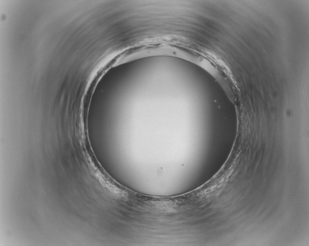 X0000059230792200510281904