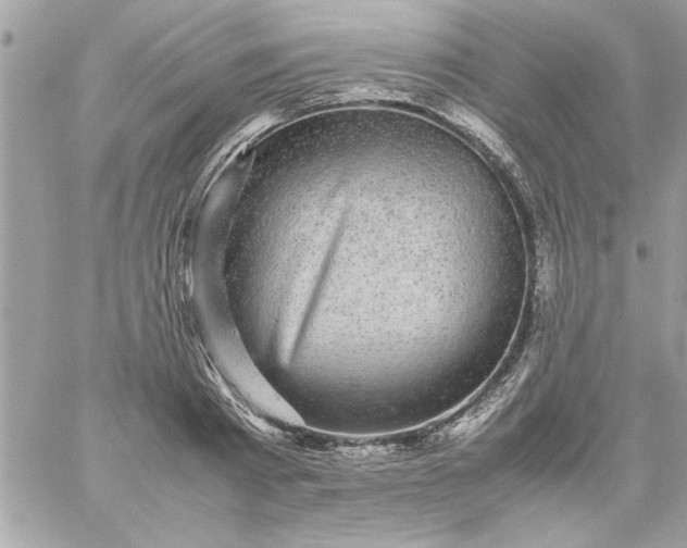 X0000059230793200510281904