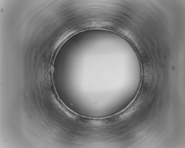 X0000059230794200510281904