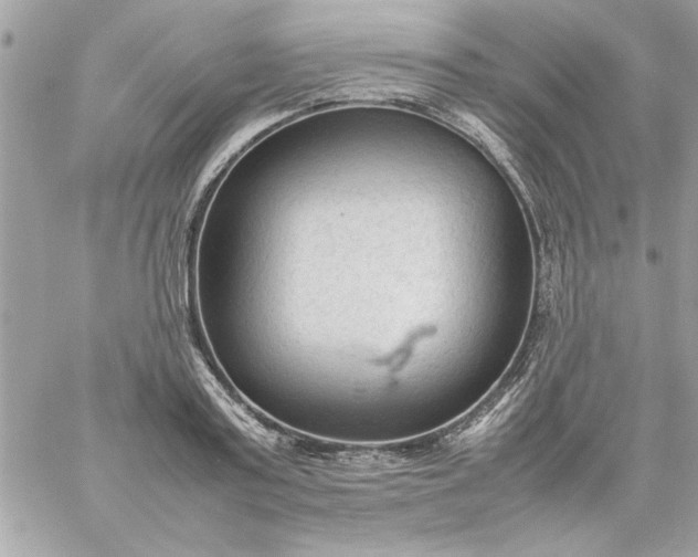 X0000059230795200510281904