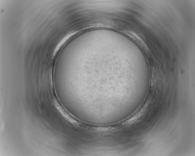 X0000059230796200510281904