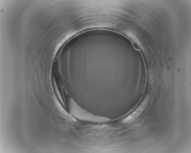 X0000059230797200510281904