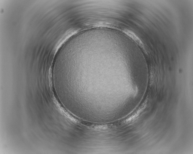 X0000059230798200510281904