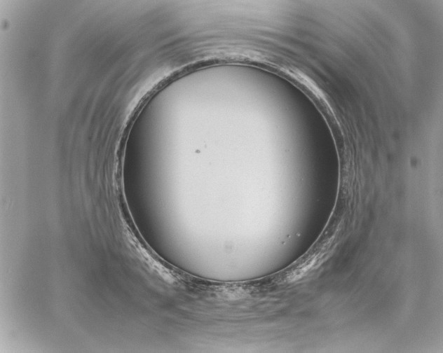 X0000059230799200510281904