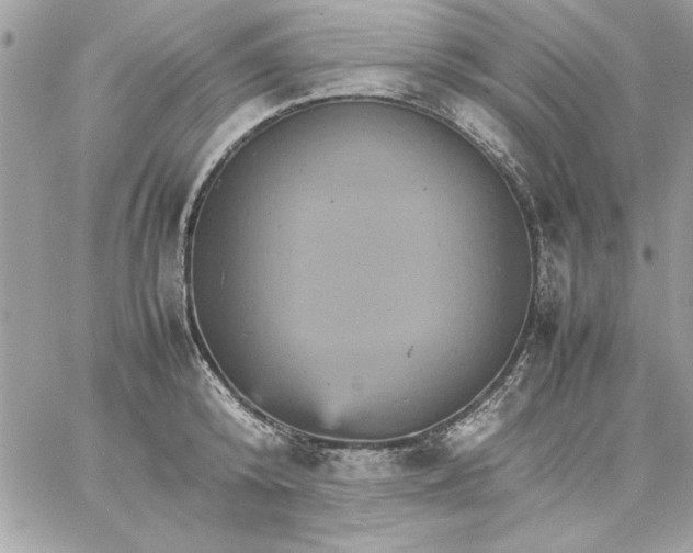 X0000059230800200510281904