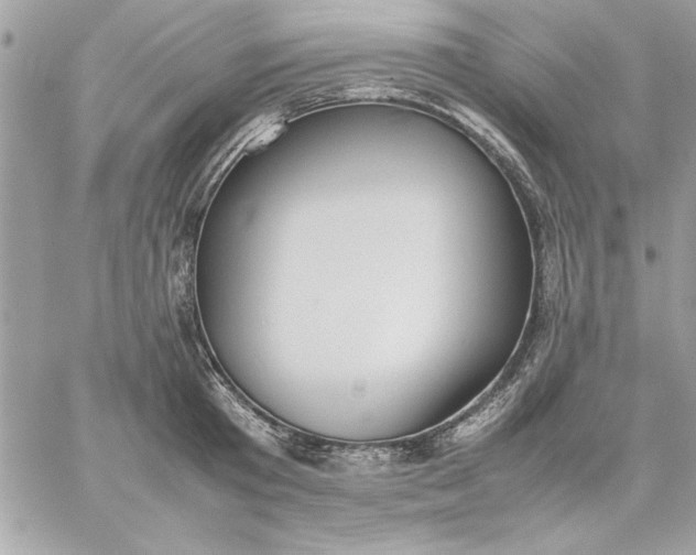 X0000059230801200510281904