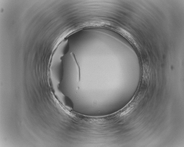 X0000059230802200510281904