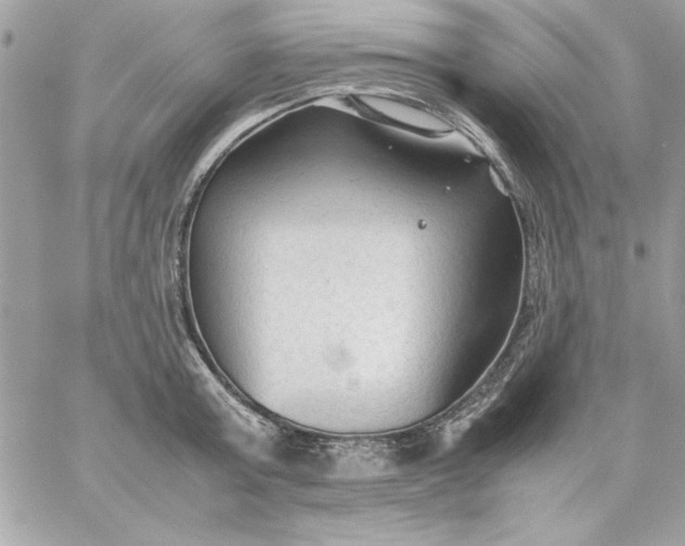 X0000059230803200510281904