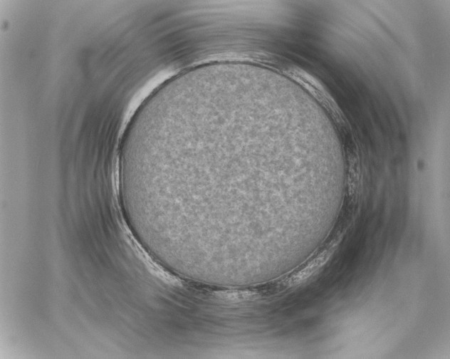 X0000059230804200510281904