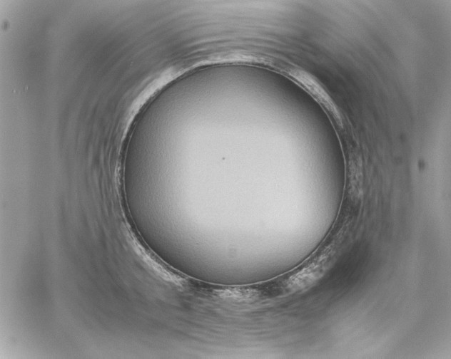 X0000059230805200510281904