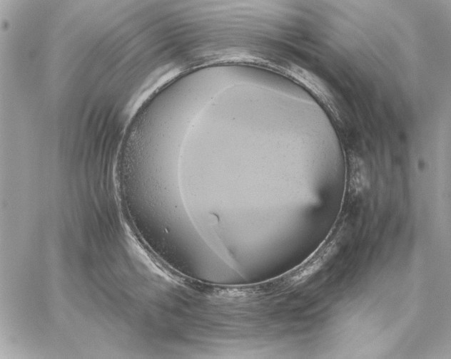 X0000059230806200510281904