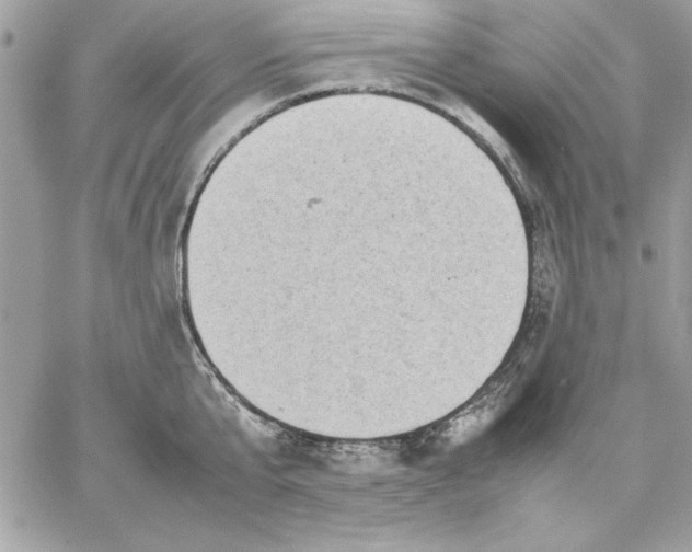 X0000059230807200510281904