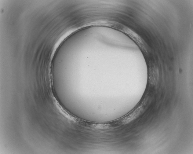 X0000059230808200510281904