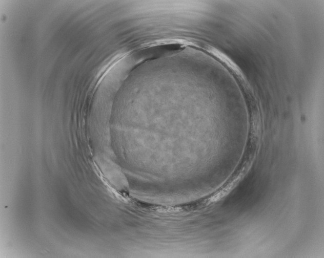 X0000059230809200510281904