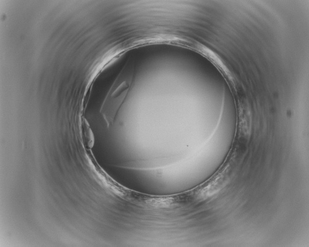 X0000059230810200510281904