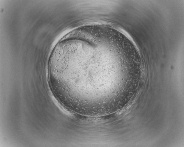 X0000059230811200510281904