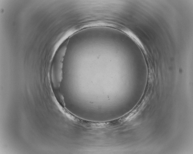 X0000059230813200510281904