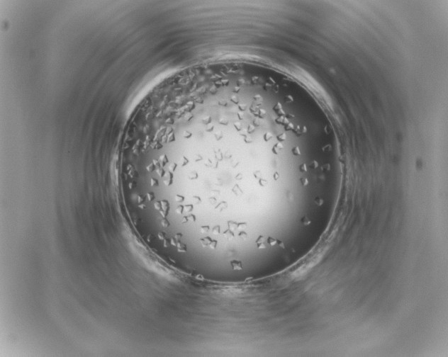 X0000059230814200510281904