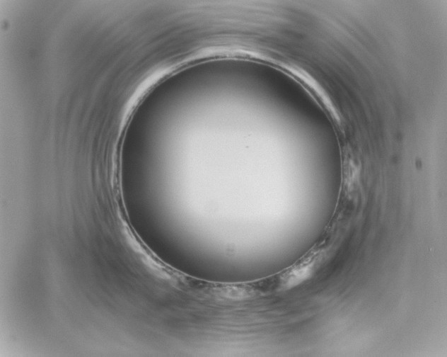 X0000059230815200510281904