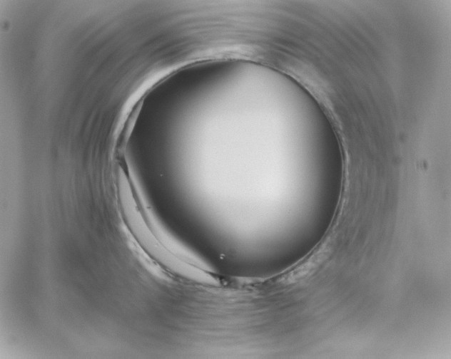 X0000059230816200510281904