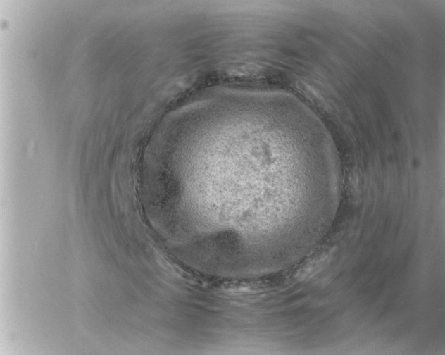 X0000059230817200510281903