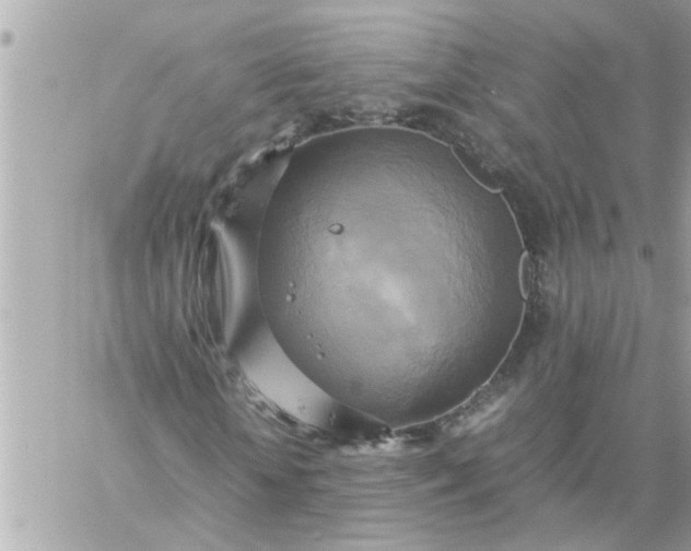 X0000059230818200510281903