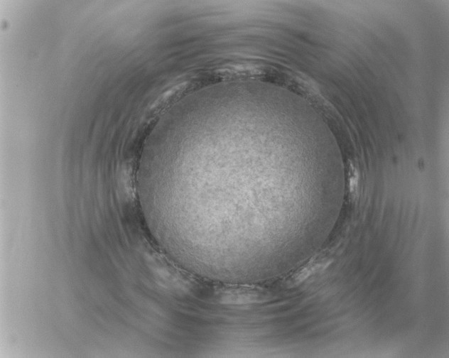 X0000059230819200510281903