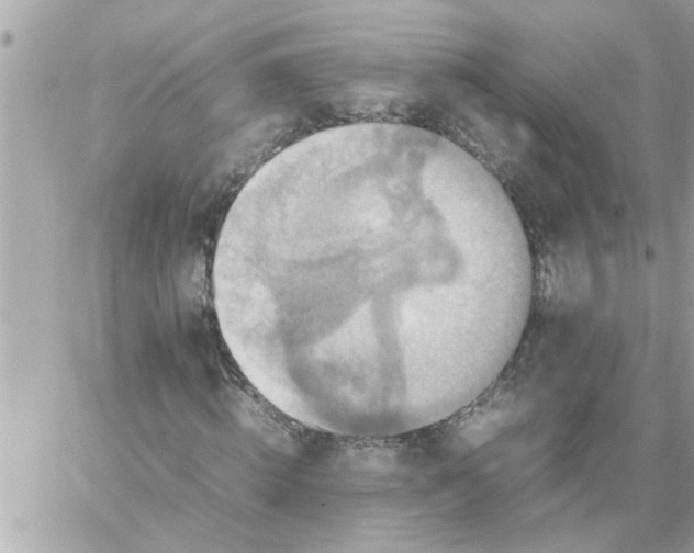 X0000059230820200510281903