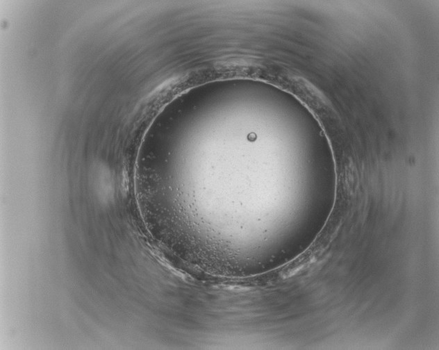 X0000059230821200510281903