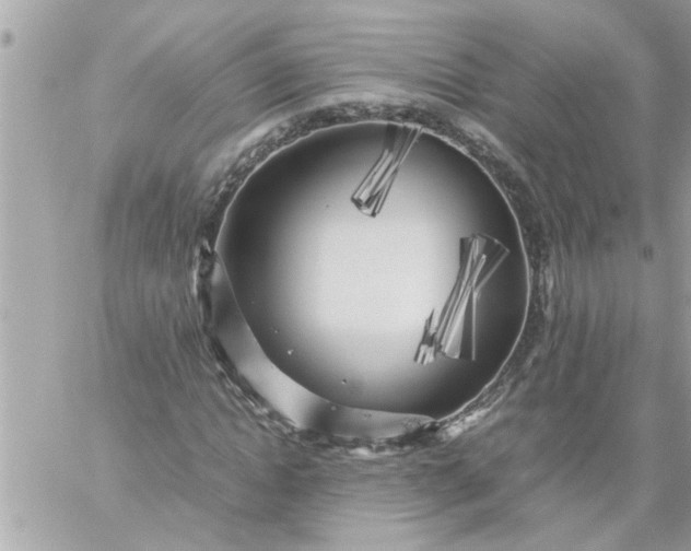 X0000059230822200510281903