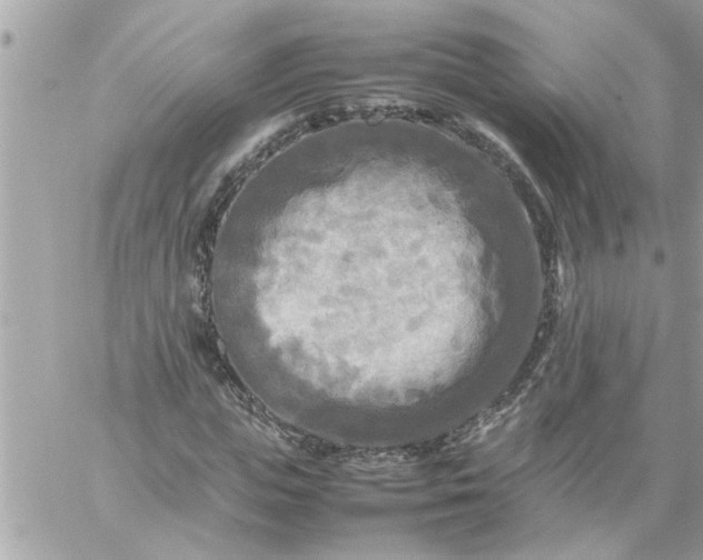 X0000059230823200510281903