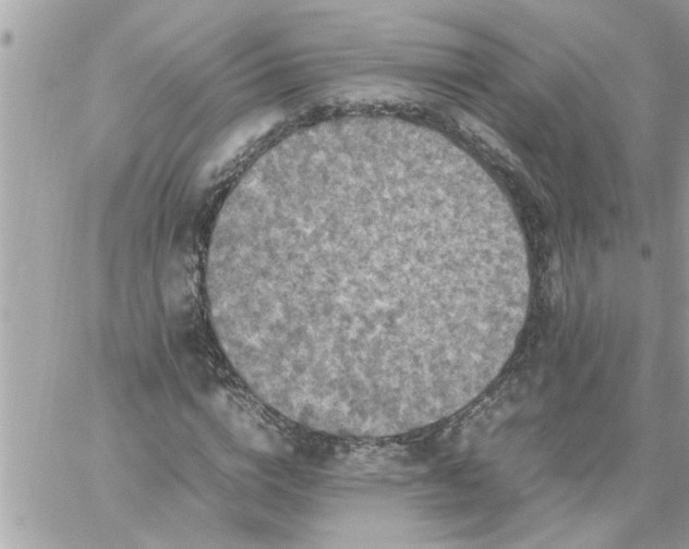 X0000059230824200510281903