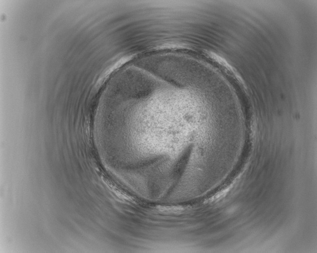 X0000059230825200510281903