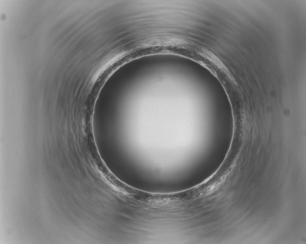 X0000059230826200510281903