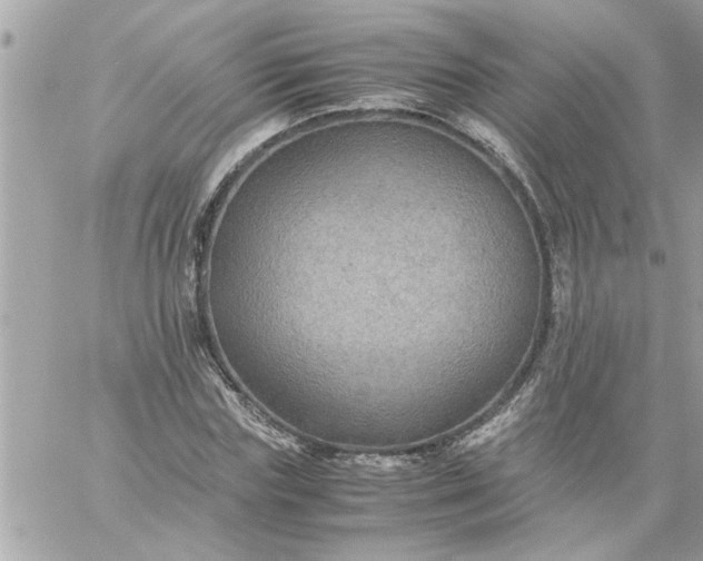 X0000059230827200510281903