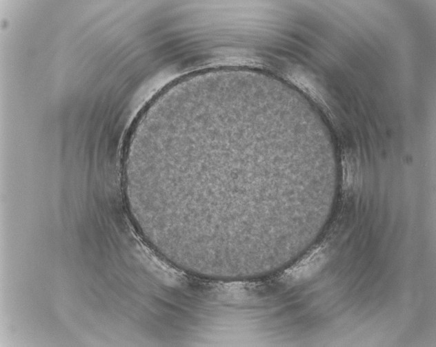 X0000059230828200510281903