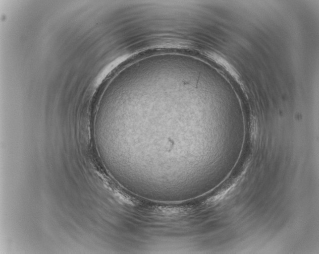 X0000059230829200510281903