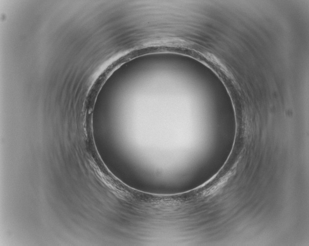 X0000059230830200510281903