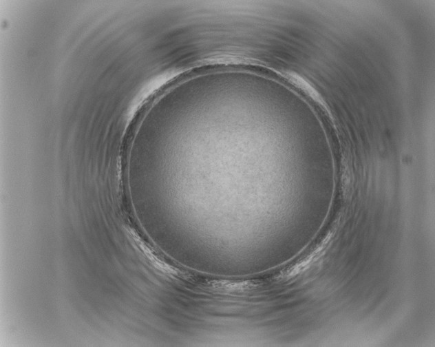 X0000059230831200510281903