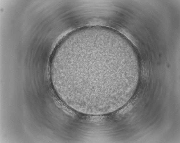 X0000059230832200510281903